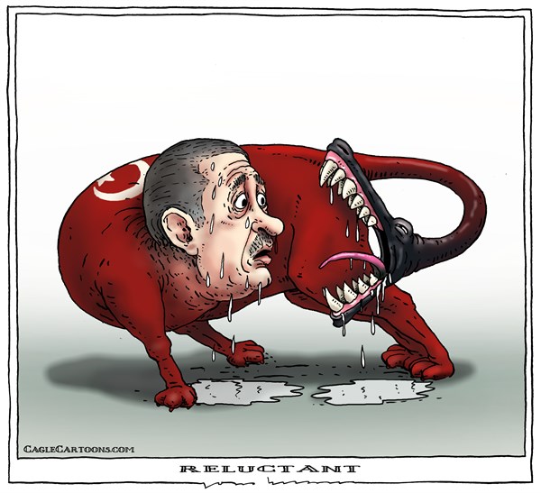 Turkey, the pretender