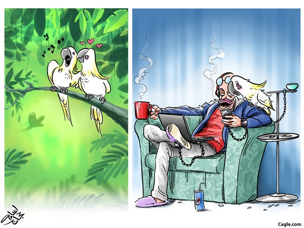 Osama Hajjaj - Jordan - BirdsHumans - English - Birds,Humans,freedom,Parrot,prison,Cage,Nature,animal