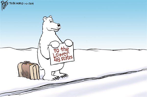 142791 600 Polar Bear Cold cartoons