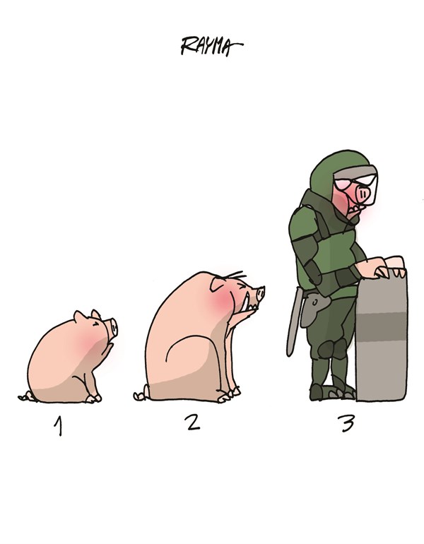 Rayma Suprani - CagleCartoons.com - Pigs - English - pigs,military,protection